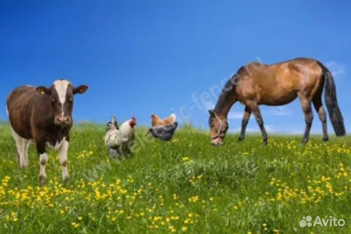 Электропастух с питанием от 12в/220в. Гарантия