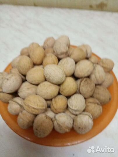 Грецкий орех в скорлупе