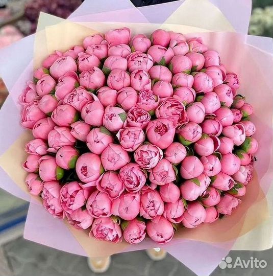 Пионы Букет пионов