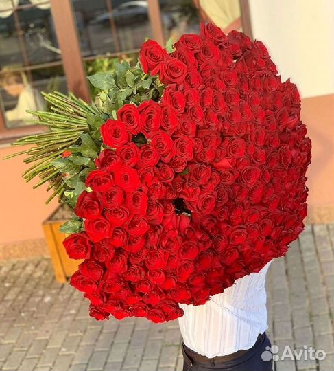 101 роза цветы букеты доставка 25 51 101 роза