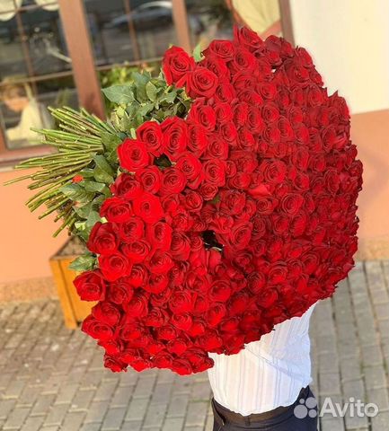 101 роза цветы букеты доставка 25 51 101 роза