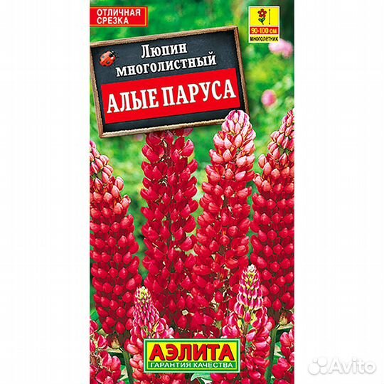 Люпин Алые паруса