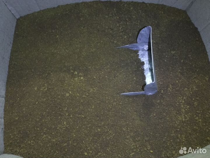 Чага березовая от сборщика