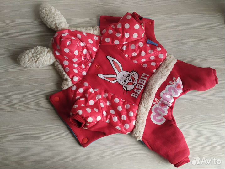 Комбинезон для чихуахуа