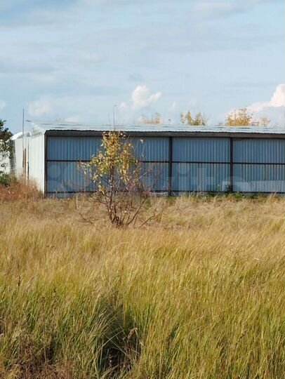 Участок 17 сот. (ИЖС)