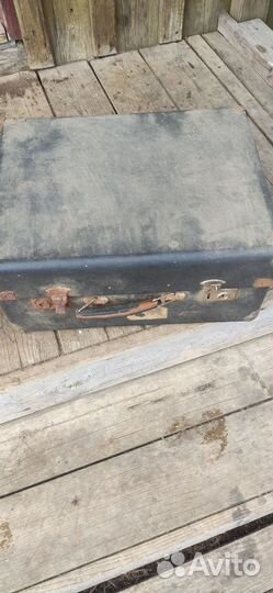 Баян тульский