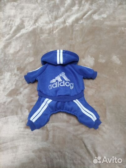 Костюм для собак. М