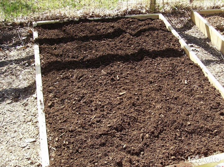 Перегной норки