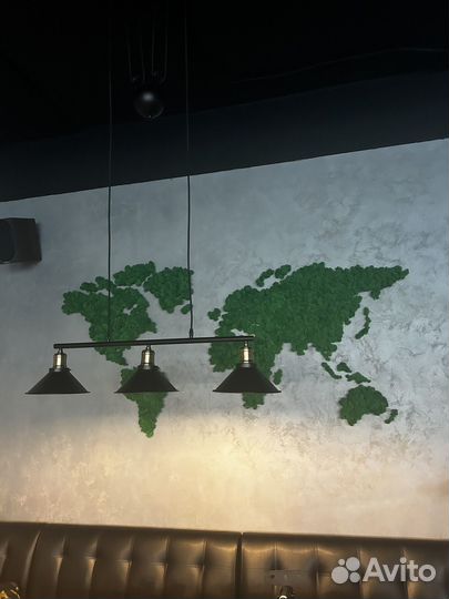 Панно Карта Мира из мха ягеля