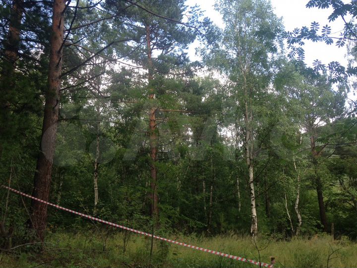 Участок 22 сот. (ИЖС)