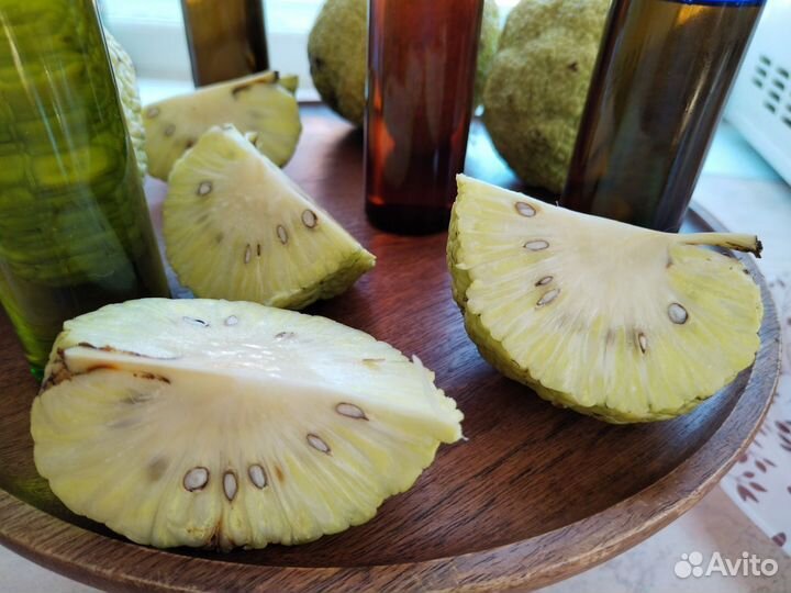 Мазь при геморрое