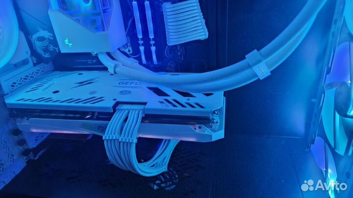 Rtx 3080 ti Peladn