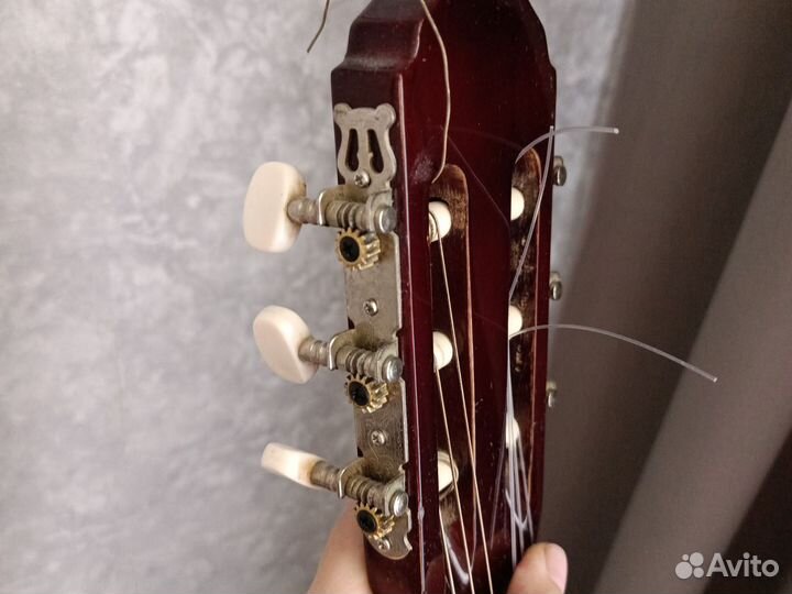 Гитара euphony 1003ts classic