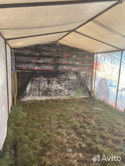 Стрелковый Тир