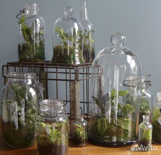 Бутылочки СССР