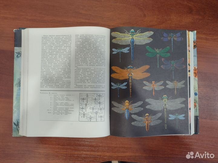 Жизнь животных энциклопедия