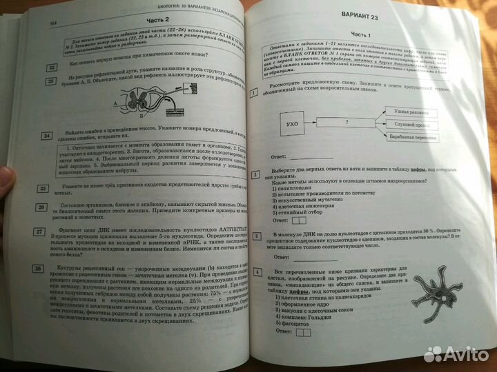 Тренировочные варианты по биологии для ЕГЭ-2018