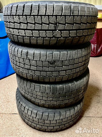 Dunlop Winter Maxx WM01 195/55 R15 85T