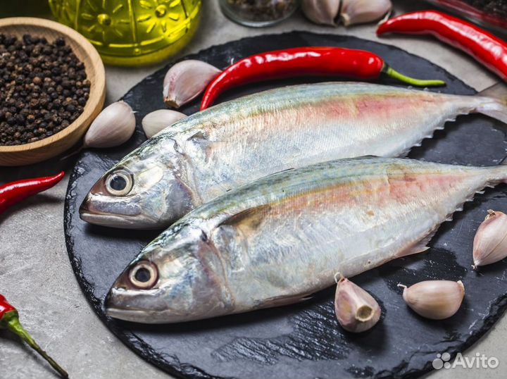 Готовый рыбный бизнес для вас