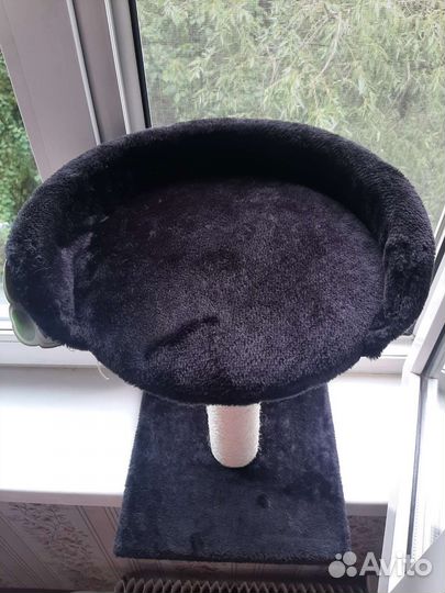 Когтеточка