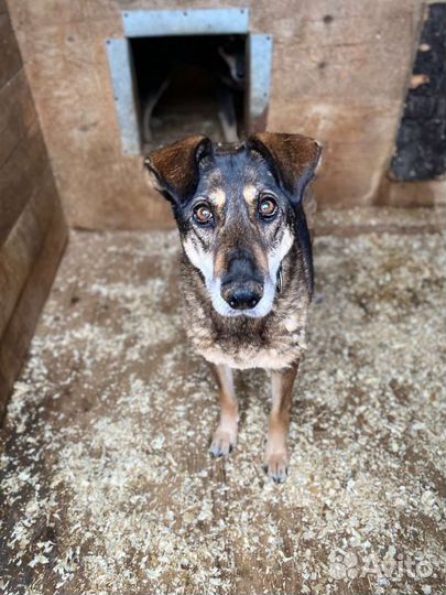 Старушка Магда не знала любви