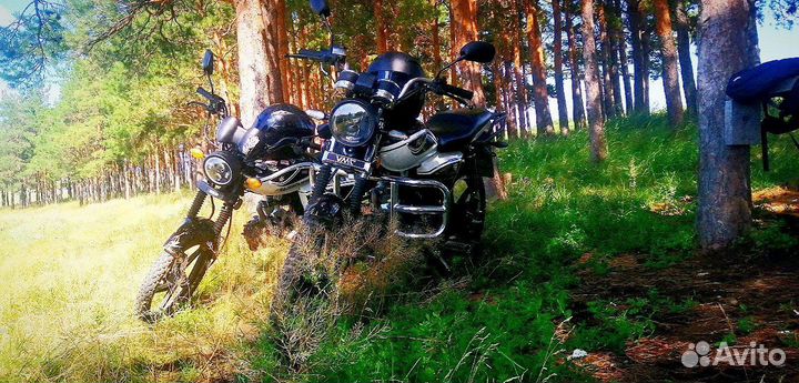 Альфа рх бомба