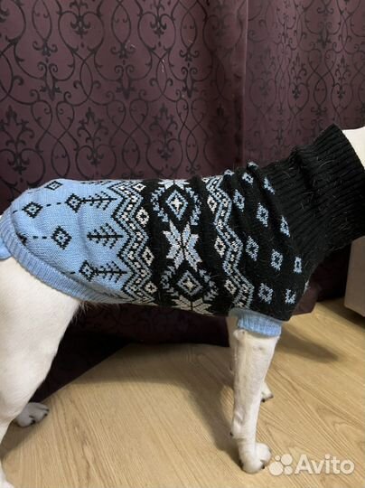 Свитер для собак