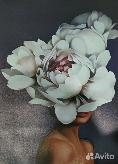 Картины Эми Джадд