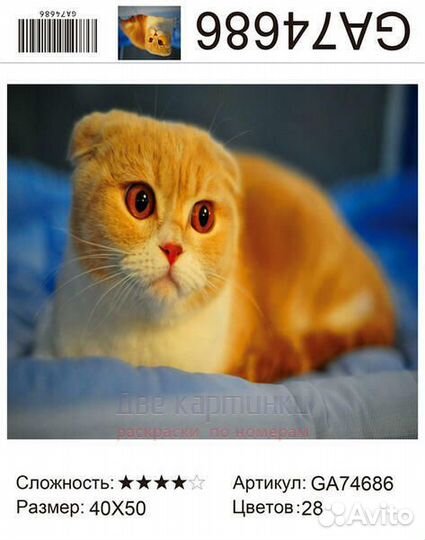 Алмазная мозаика 40x50 Рыженький вислоухий котик