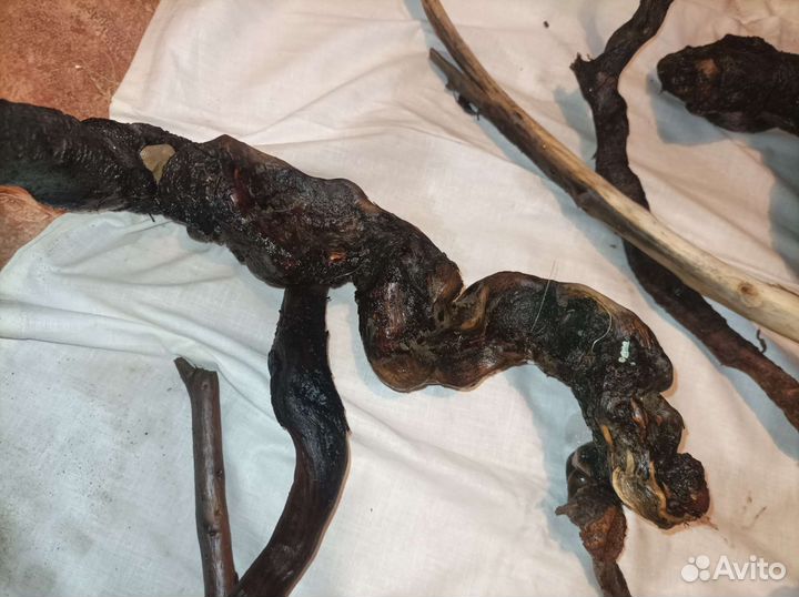 Коряги для террариума, аквариума, флорариума