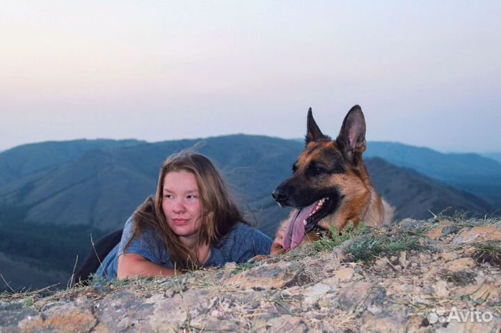 Кинолог,передержка собак, зоогостиница