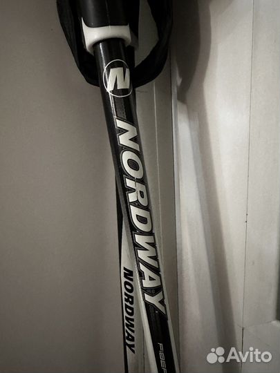 Лыжные палки