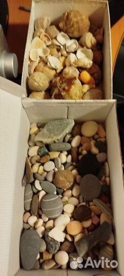 Камушки, ракушки с моря для аквариума