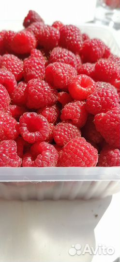 Ягоды малины