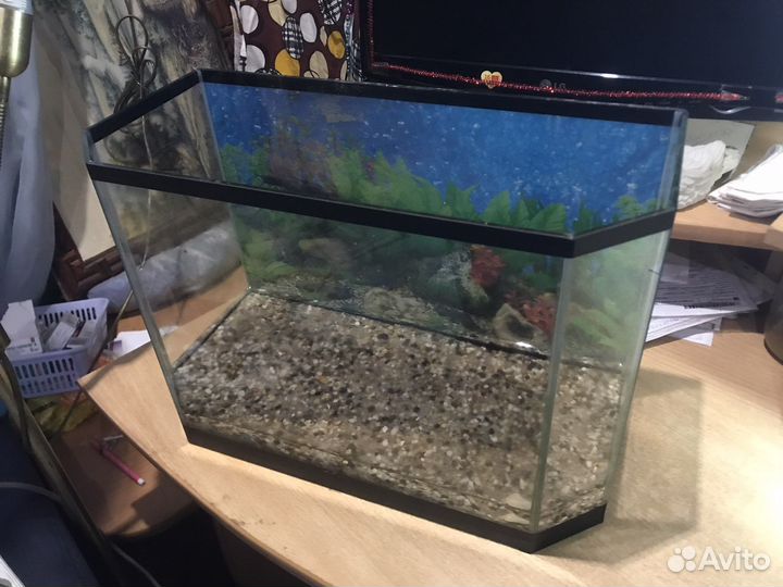 Аквариум 20 и 70литров