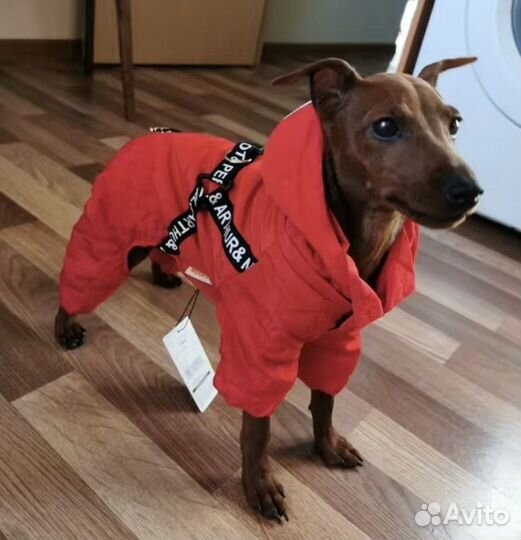 Комбинезон для собаки