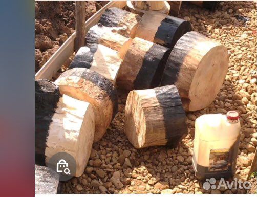 Спилы дерева