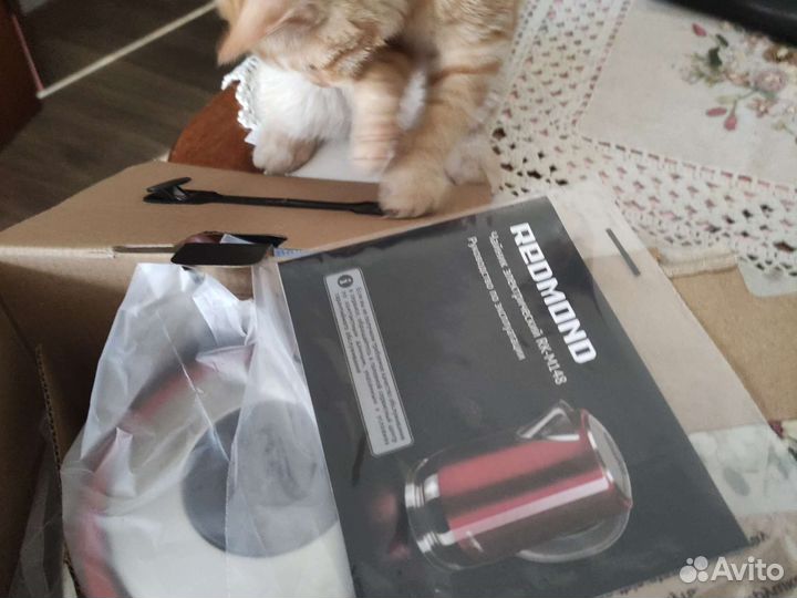 Чайник электрический на гарантии