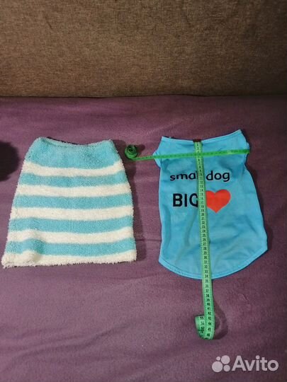 Одежда для средних собак