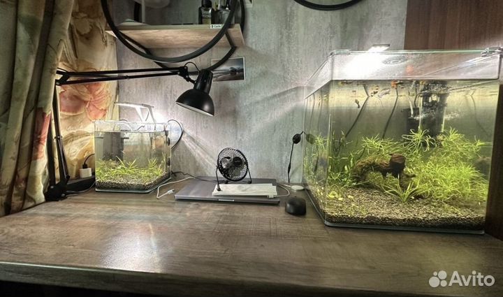 Аквариум dennerle 10л