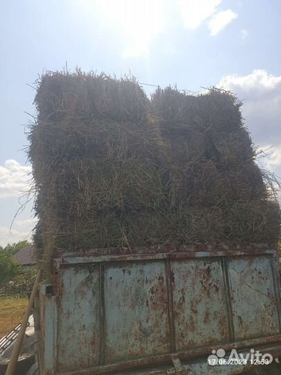 Сено в тюках