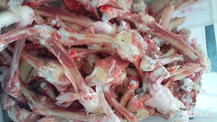 Продаю кости для собак