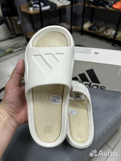 Тапки Adidas Adicane slide