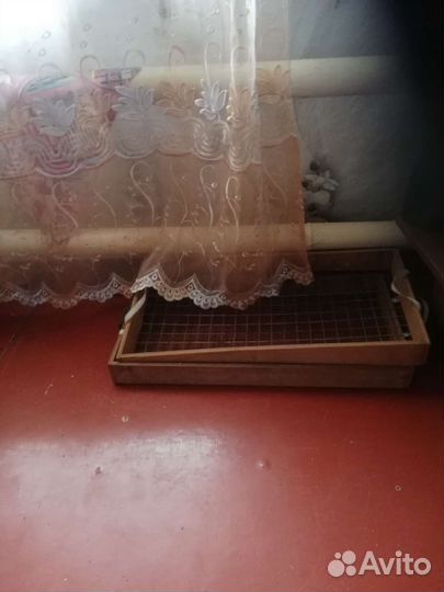 Инкубатор для яиц автоматический бу