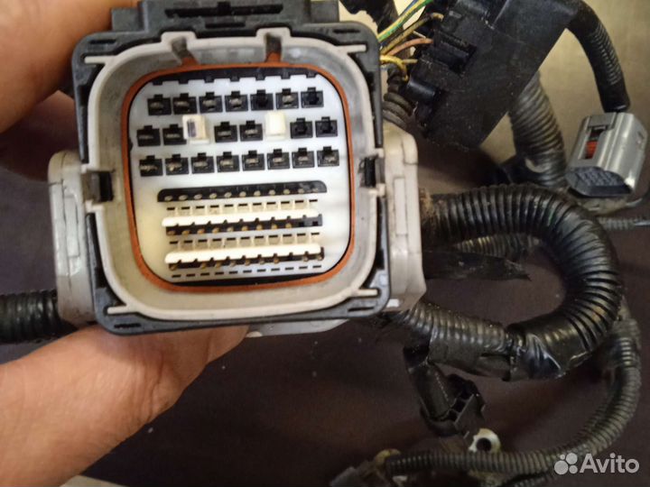 Проводка двигателя субару оутбэк BR9 2011 г