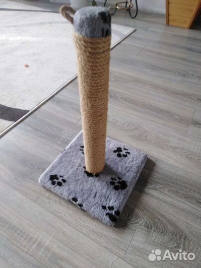 Когтеточка