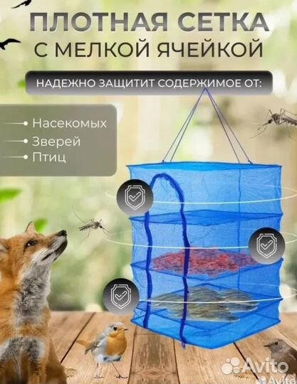 Сушилка для рыбы, овощей, фруктов, зелени, грибов