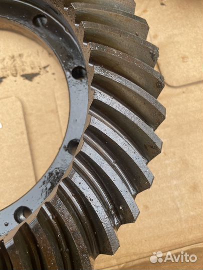 Планетарка хвоставик