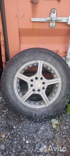 Nexen Winguard 185/70 R14