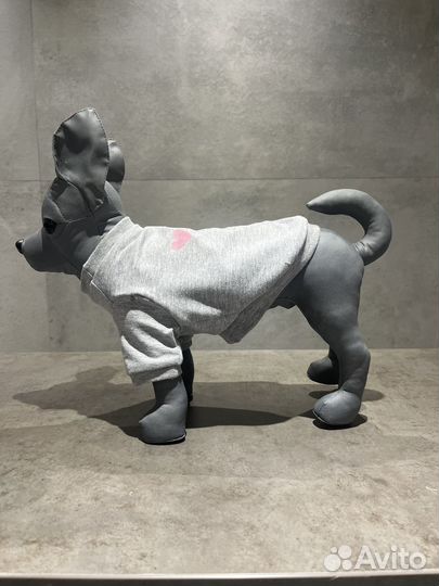 Одежда для животных